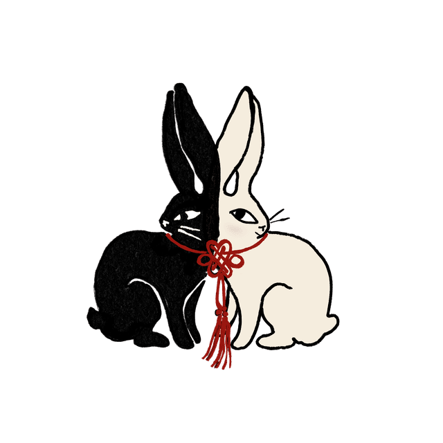Two bunnies — one black, one white — representing Emily and Daniel